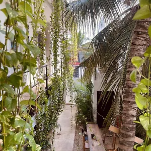  Inn Anana Coliving Mexico